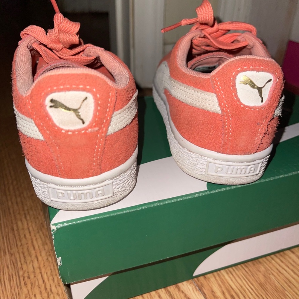 pumas - Picture 5 of 5